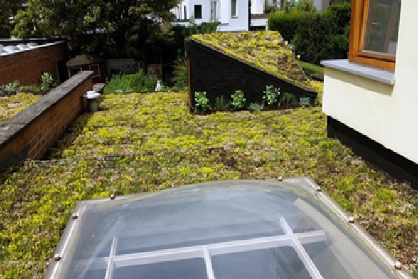 Groendak bron natuurpunt