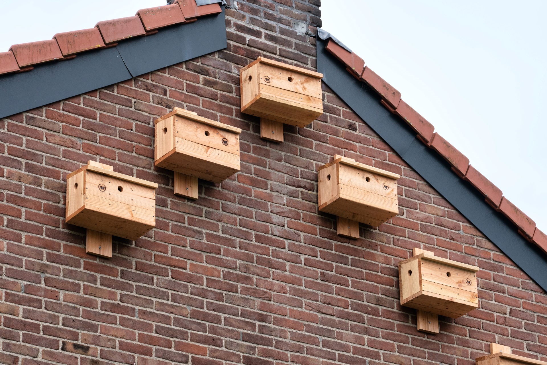 Nestkast hout huismus Milieu Centraal