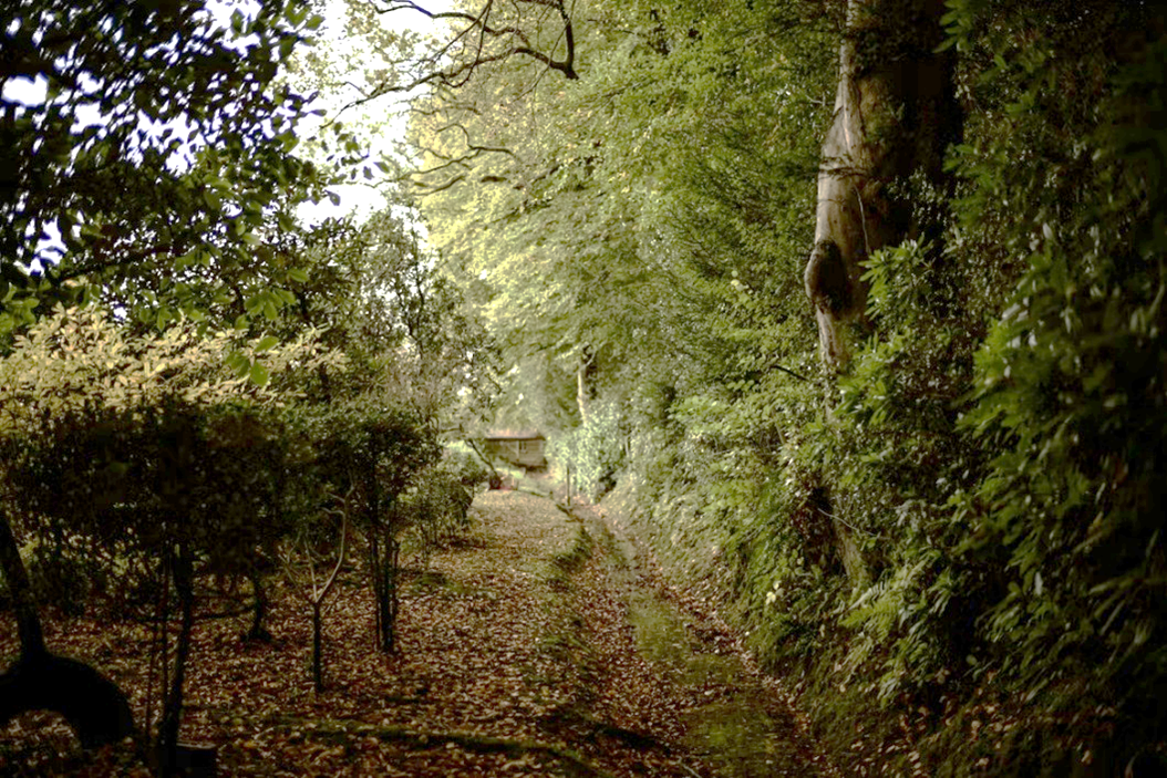 FAQ van de maand: Wanneer hoef ik geen infiltratie voor regenwater te plaatsen in de tuin?